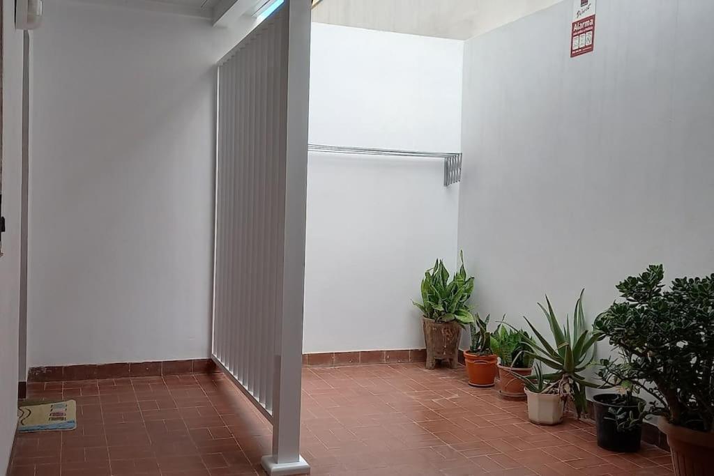 Amplio Apartamento Con Vistas Privilegiadas Garachico  Esterno foto